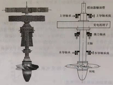 水輪發(fā)電機組結構特點